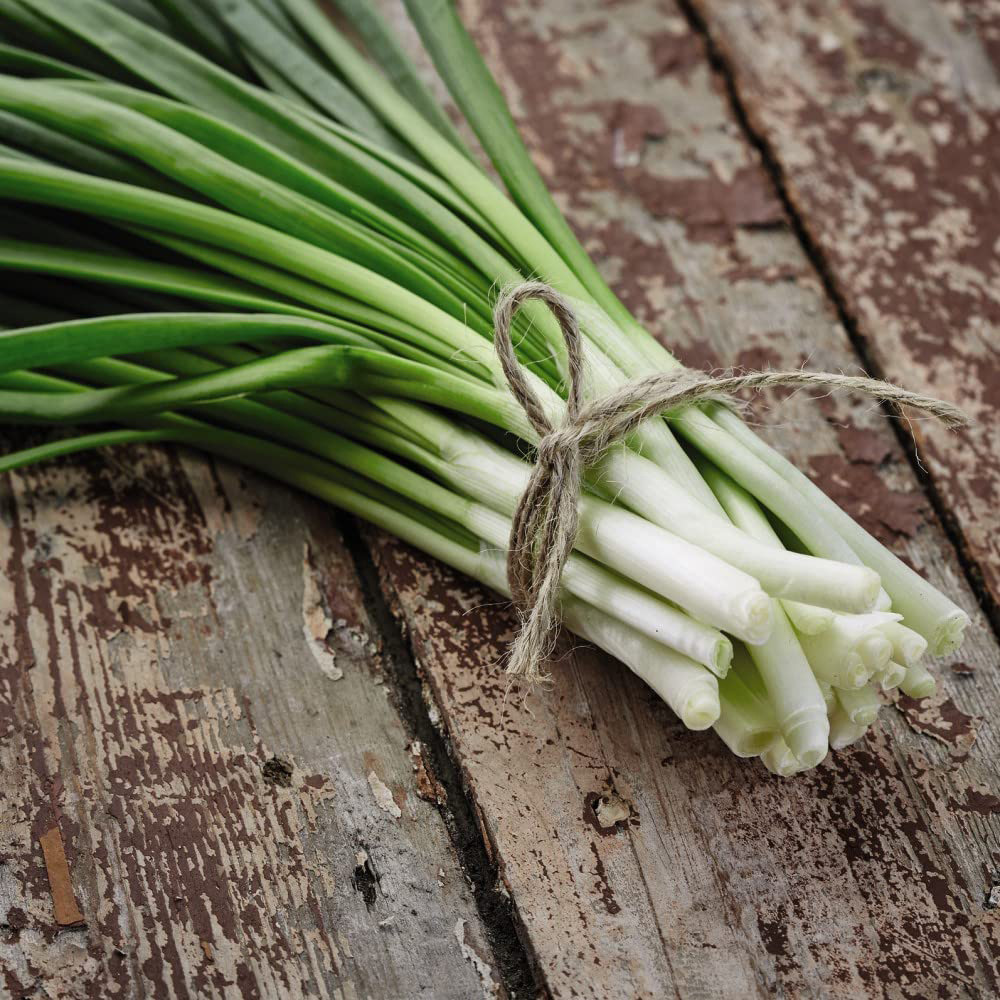 Thompson & Morgan Organic Spring Onion White Lisbon Seed Packet Image 2