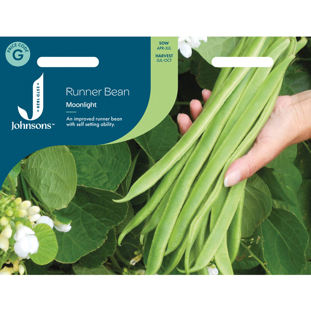 Runner Bean Moonlight Seeds Image 2