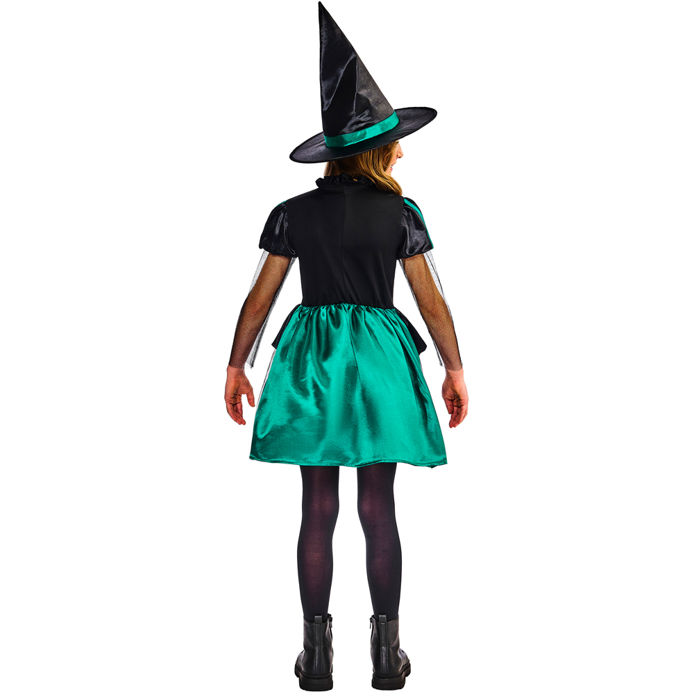 Wizard Of Oz Wicked Witch Halloween Costume 5 to 6 Years Image 2