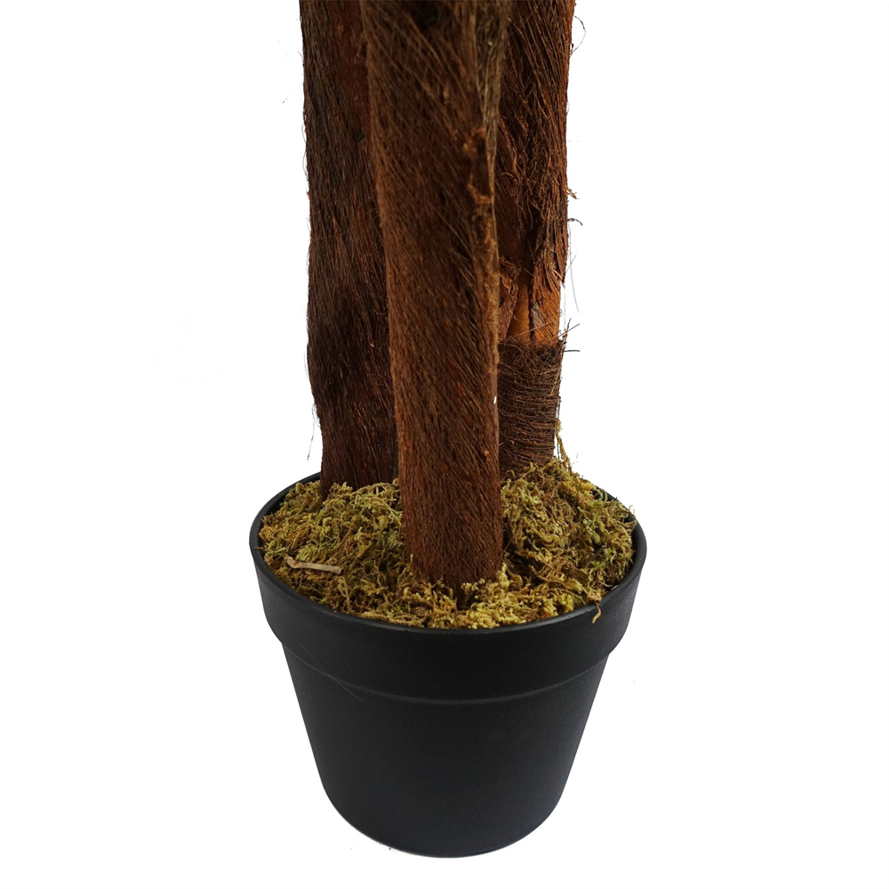 Botanik Palm Artificial Tree with Natural Trunk in Pot 5ft Image 5