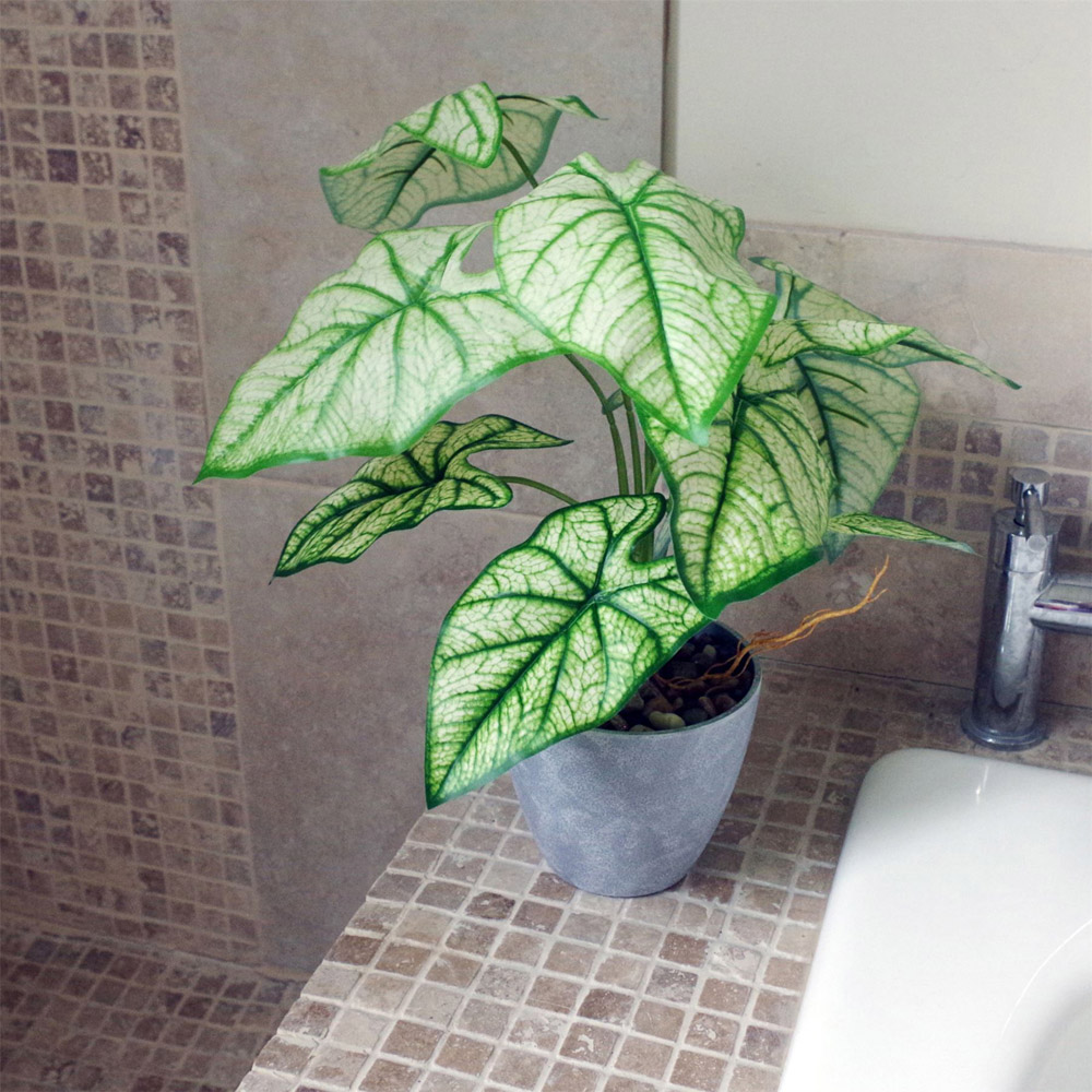 Leaf Taro Artificial House Plant in Decorative Planter 40cm Image 2
