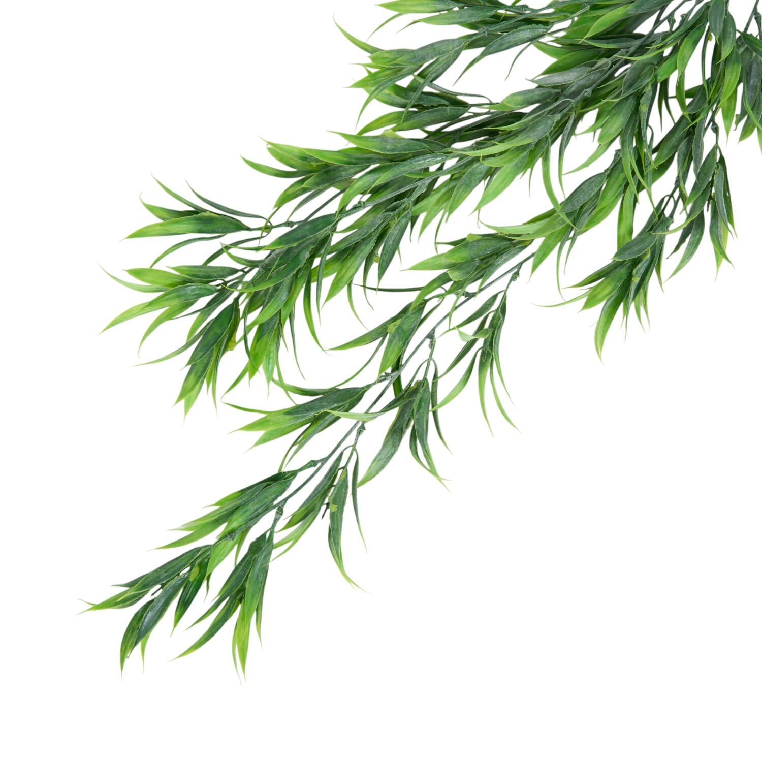 Hanging Wild Grass - Green Image 4