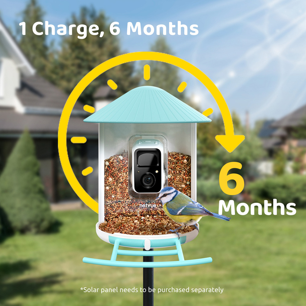Birdfy Smart Solar Bird Feeder with 1080p HD AI Camera Image 7