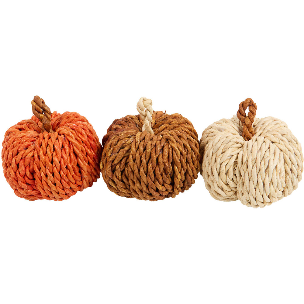 Pack of 3 Autumnal Woven Pumpkins Image 5
