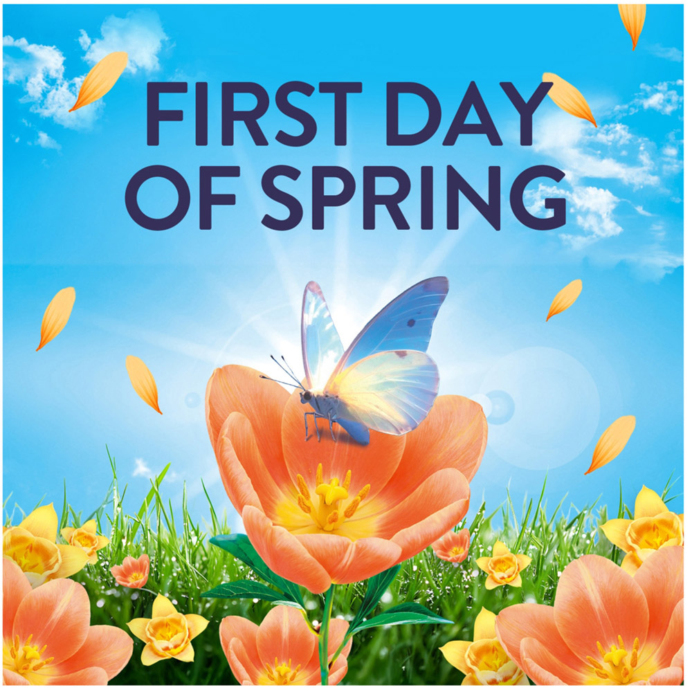Lenor Outdoorable Fresh Fabric Conditioner 700ml First Day of Spring Image 5
