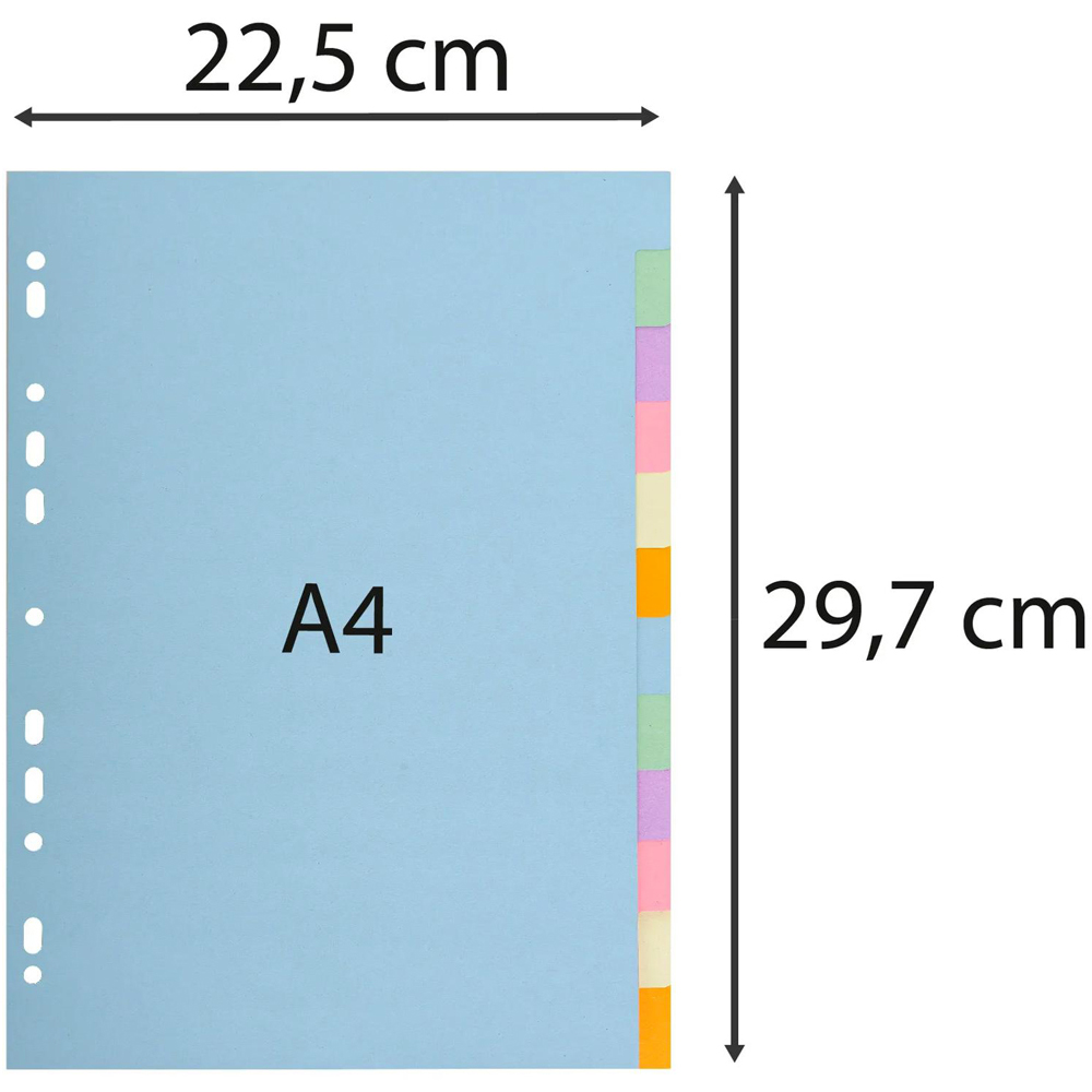 Exacompta Forever A4 12 Section Assorted Pastel Colour Divider 25 Pack Image 3