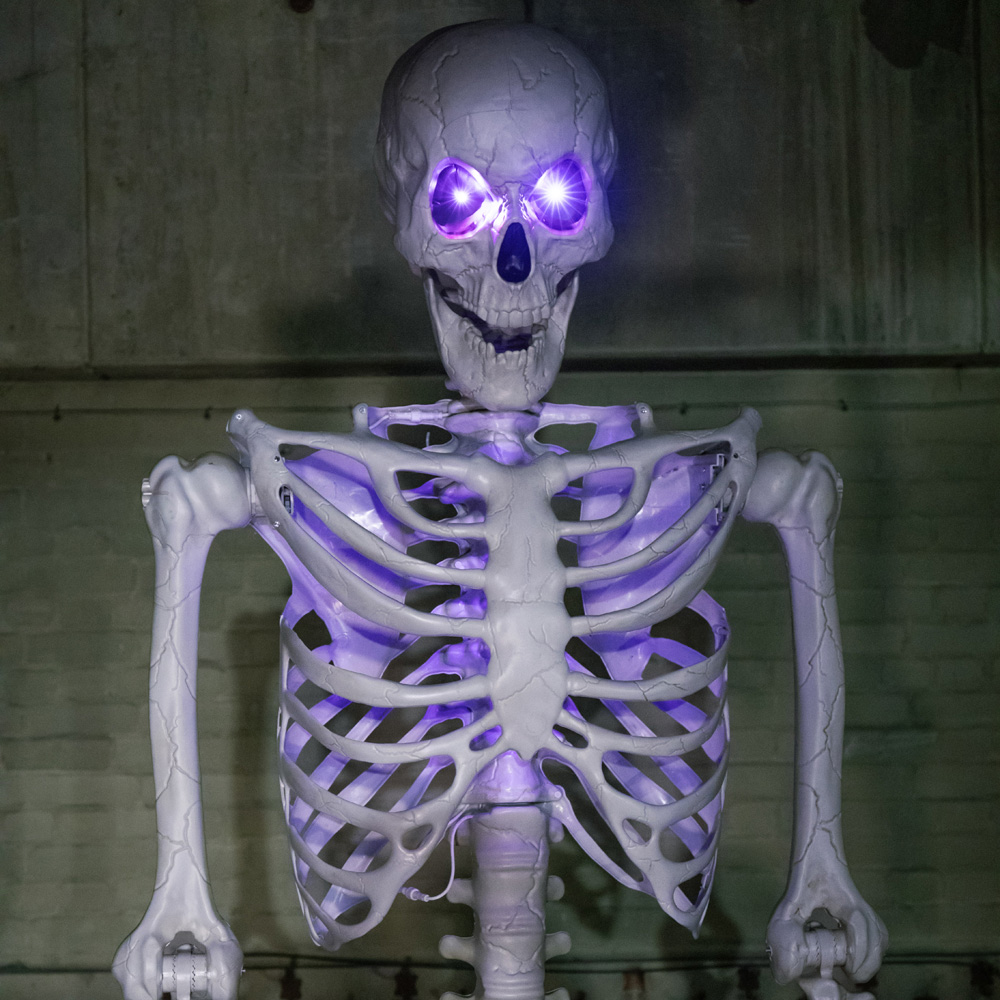 Samuel Alexander LED Posable Full Body Skeleton Halloween Decoration 10ft Image 7