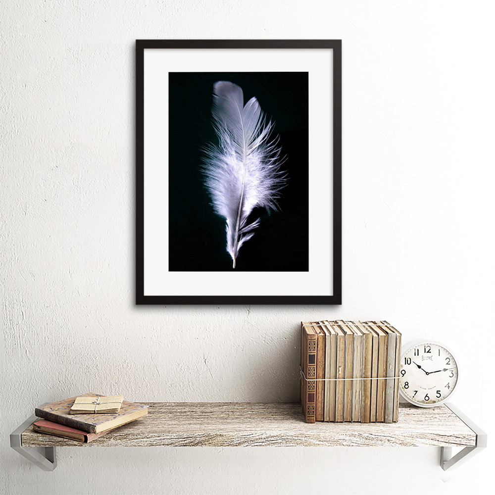 Wee Blue Coo Black and White Photo Bird Feather Framed Wall Art Print 30 x 41cm Image 2