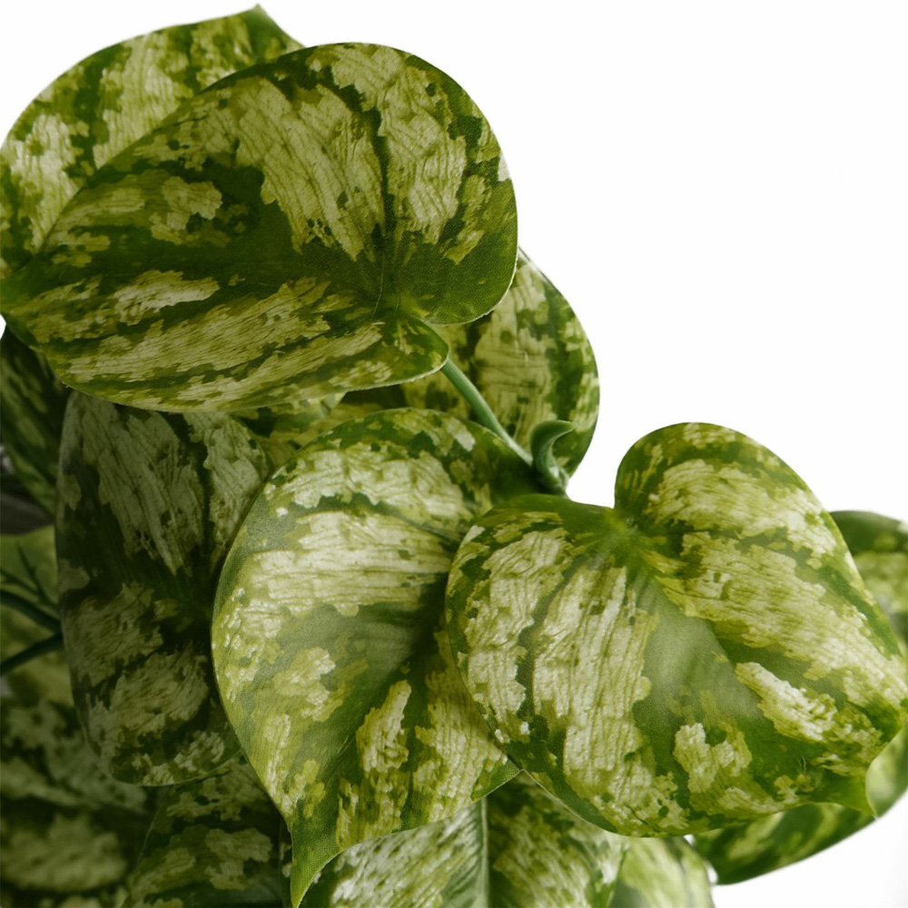 Leaf Trailing Light Natural Look Artificial Plant 35cm Image 3