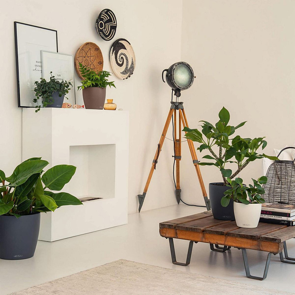 Lechuza Classico Sand Brown Poly-Resin Self-Watering Planter 19cm 3 Pack Image 6