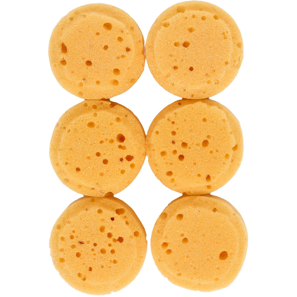 Sponge Set Image 3
