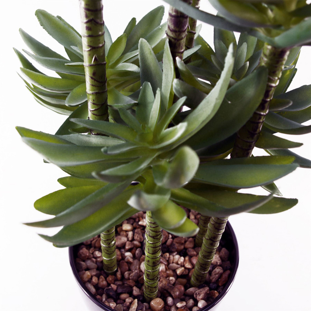 Leaf Tropical Yukka Artificial Plant in Pot 2ft Image 3