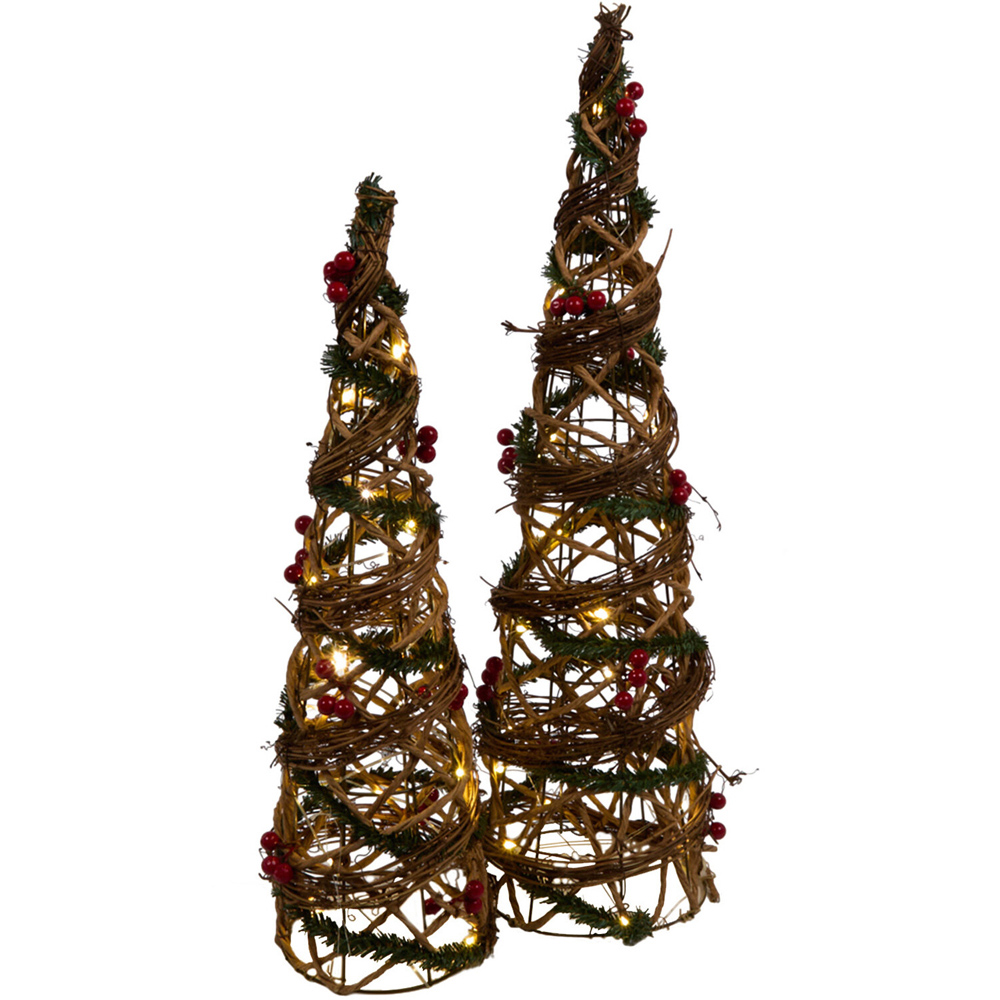 Set of 2 LED Floristry Cones Image 6