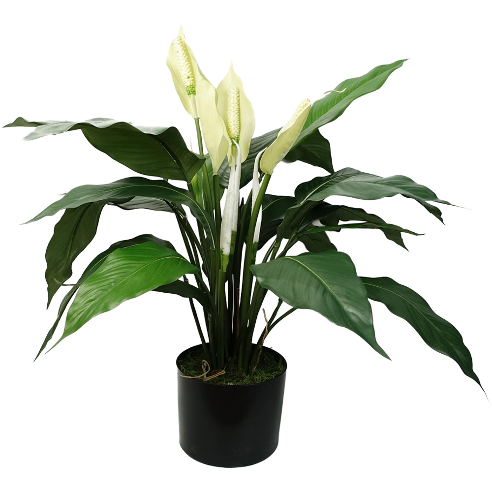 Leaf White Spathiphyllum Peace Lily Artificial Plant in Pot 2ft Image 1