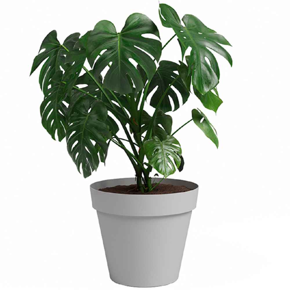 Artevasi Capri Light Grey Round Plastic Plant Pot 30cm Image 2