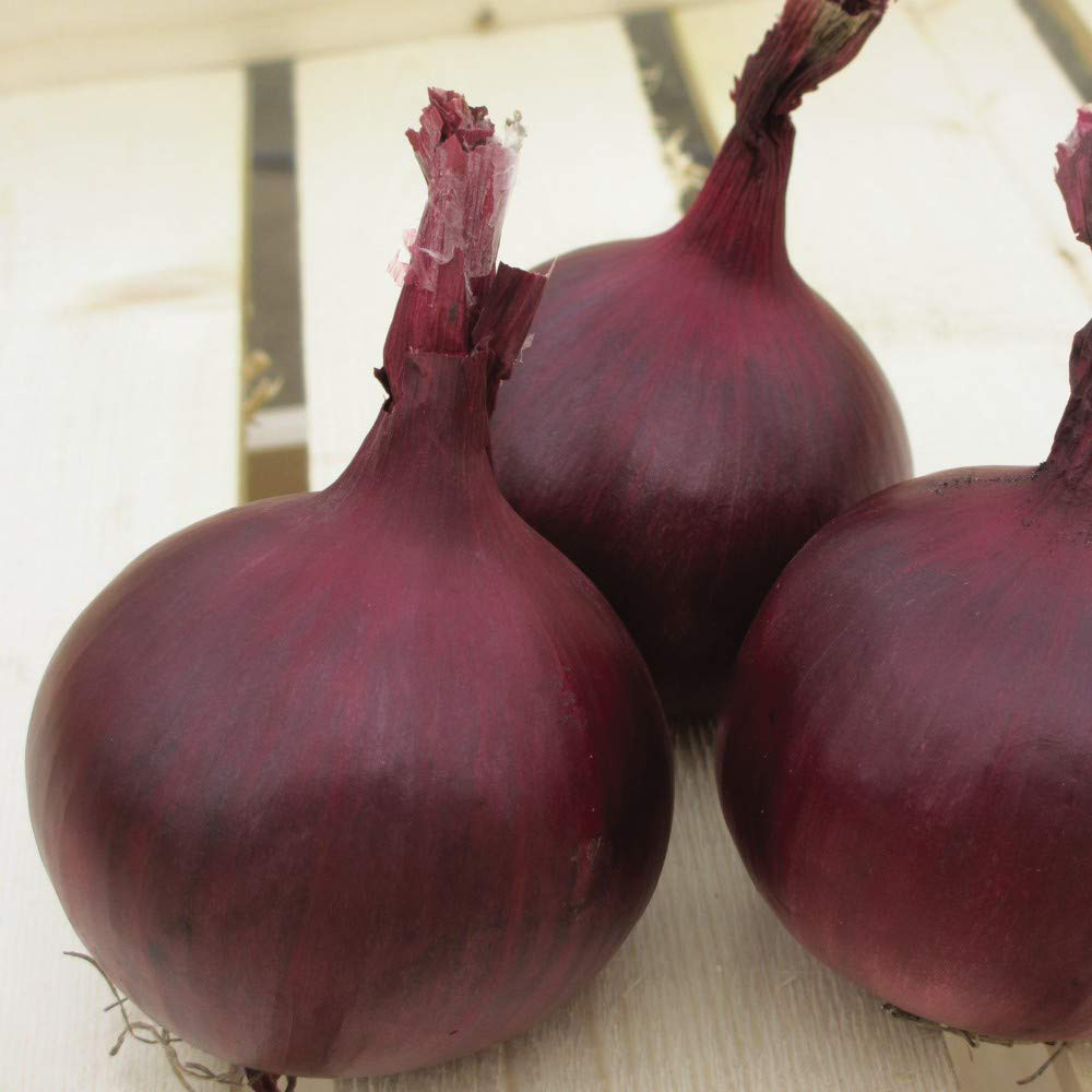 Thompson & Morgan Onion Red Herald Seeds Image