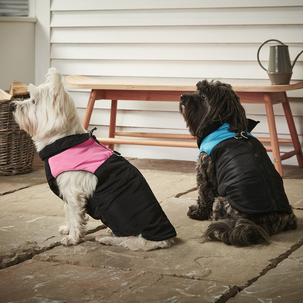 Bunty Extra Small Blue Dog Puffer Jacket Image 4