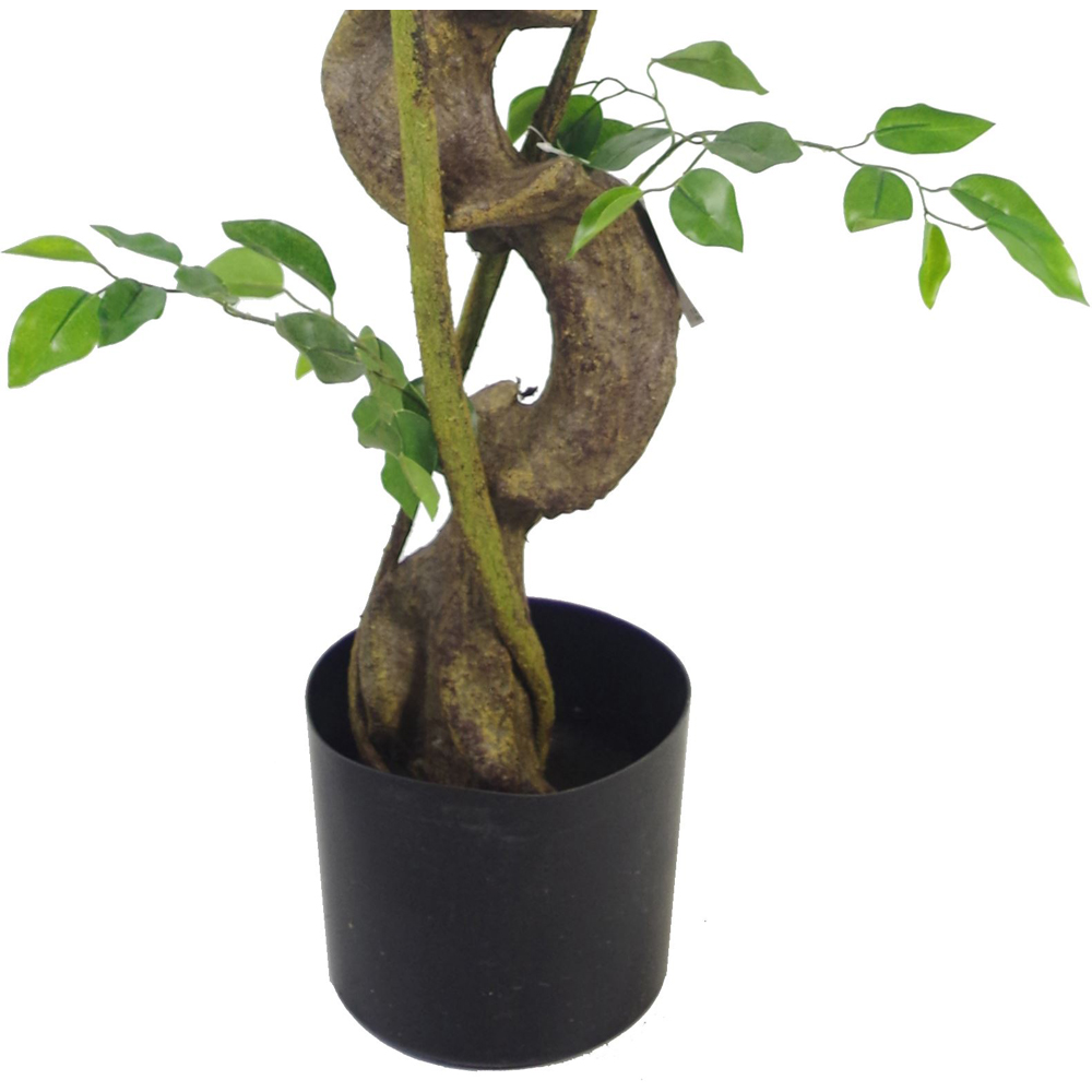Leaf Japanese Fruticosa Ficus Artificial Tree in Rainbow Planter 3.9ft Image 4
