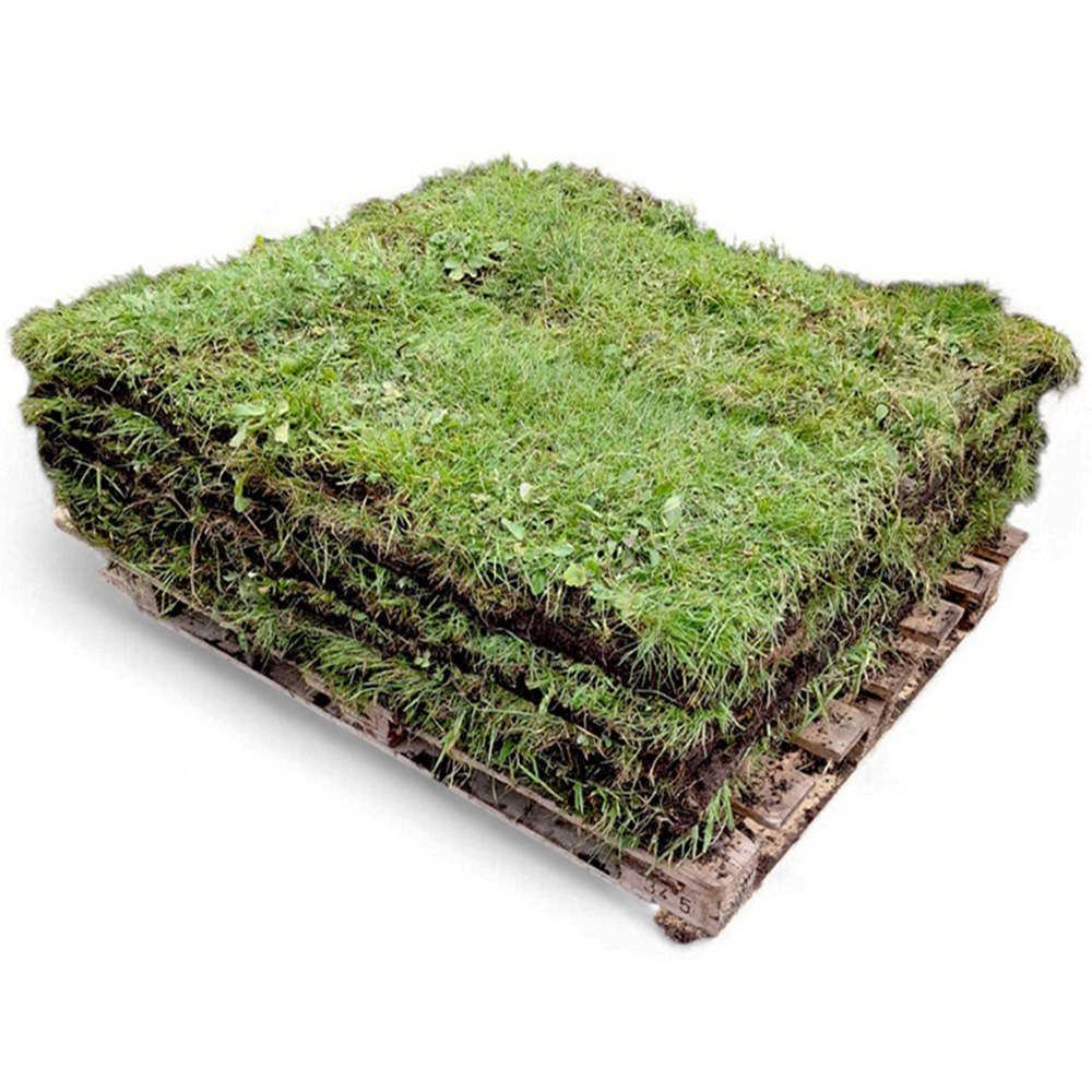 Harrowden Birds and Bees Meadowmat 20sqm Image 3