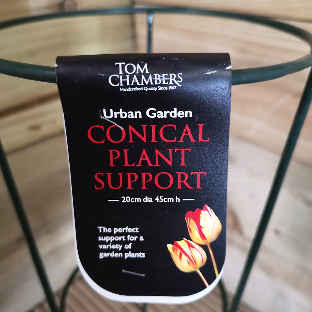 Tom Chambers Urban Green Conical Garden Plant Support 20cm 3 Pack Image 6