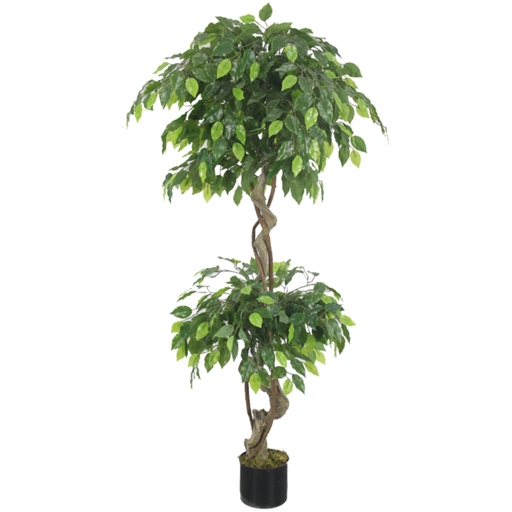 Leaf Artificial Twisted Ficus Tree 5ft Image