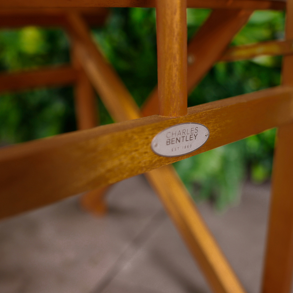 Charles Bentley Eucalyptus Pair Director Chairs Teal Image 8