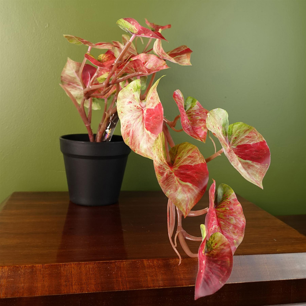 Leaf Trailing Pink Splash Caladium Artificial Plant in Pot 35cm Image 4