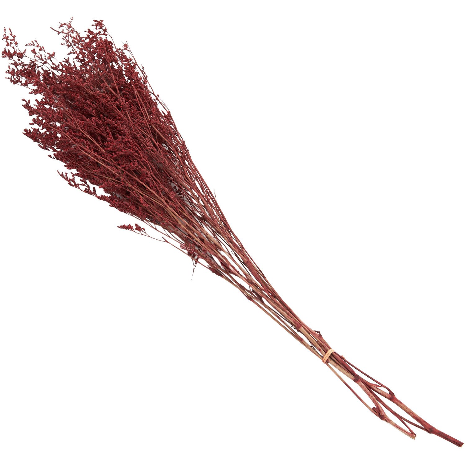 Gypsophilia Bouquet Image 1