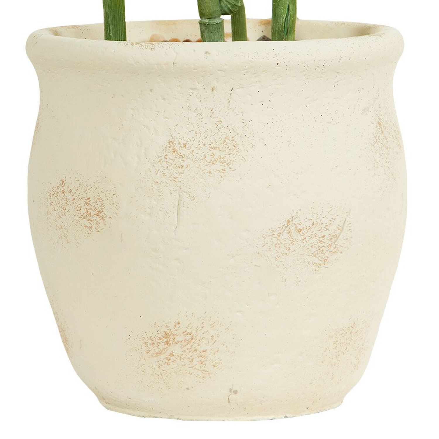 Palm in Cement Pot 100cm - Green Image 6