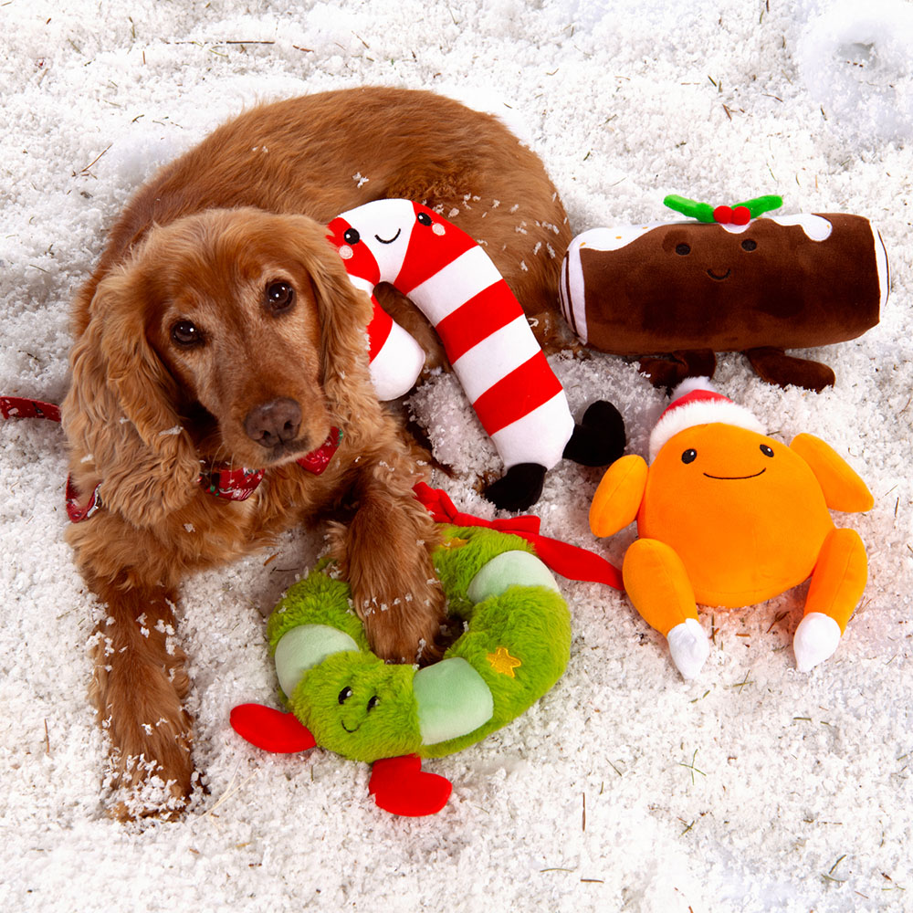 Super Squashy Friends Dog Toy Image 2