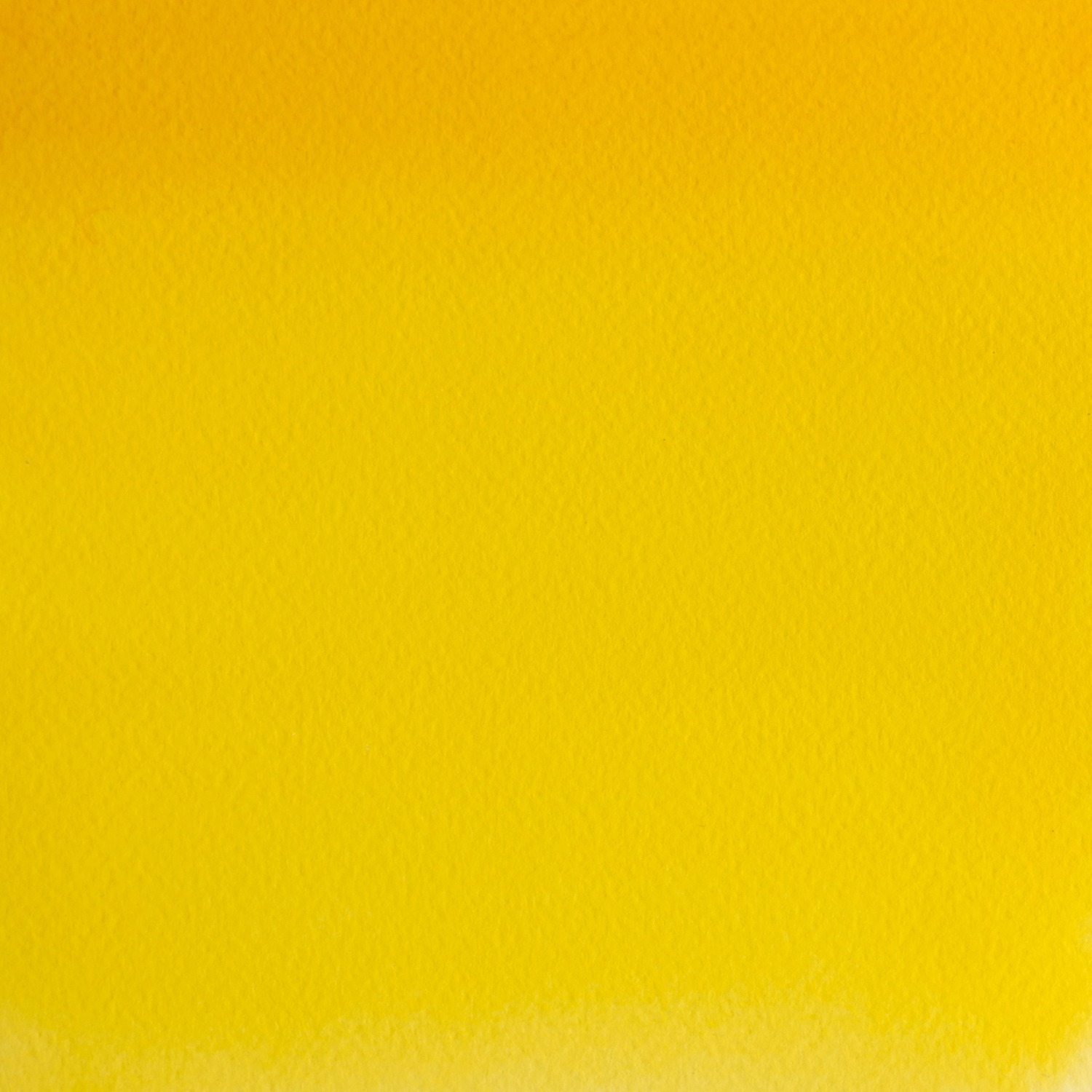 Winsor and Newton Professional Pale Cadium Yellow Watercolour Paint 14ml Image 2