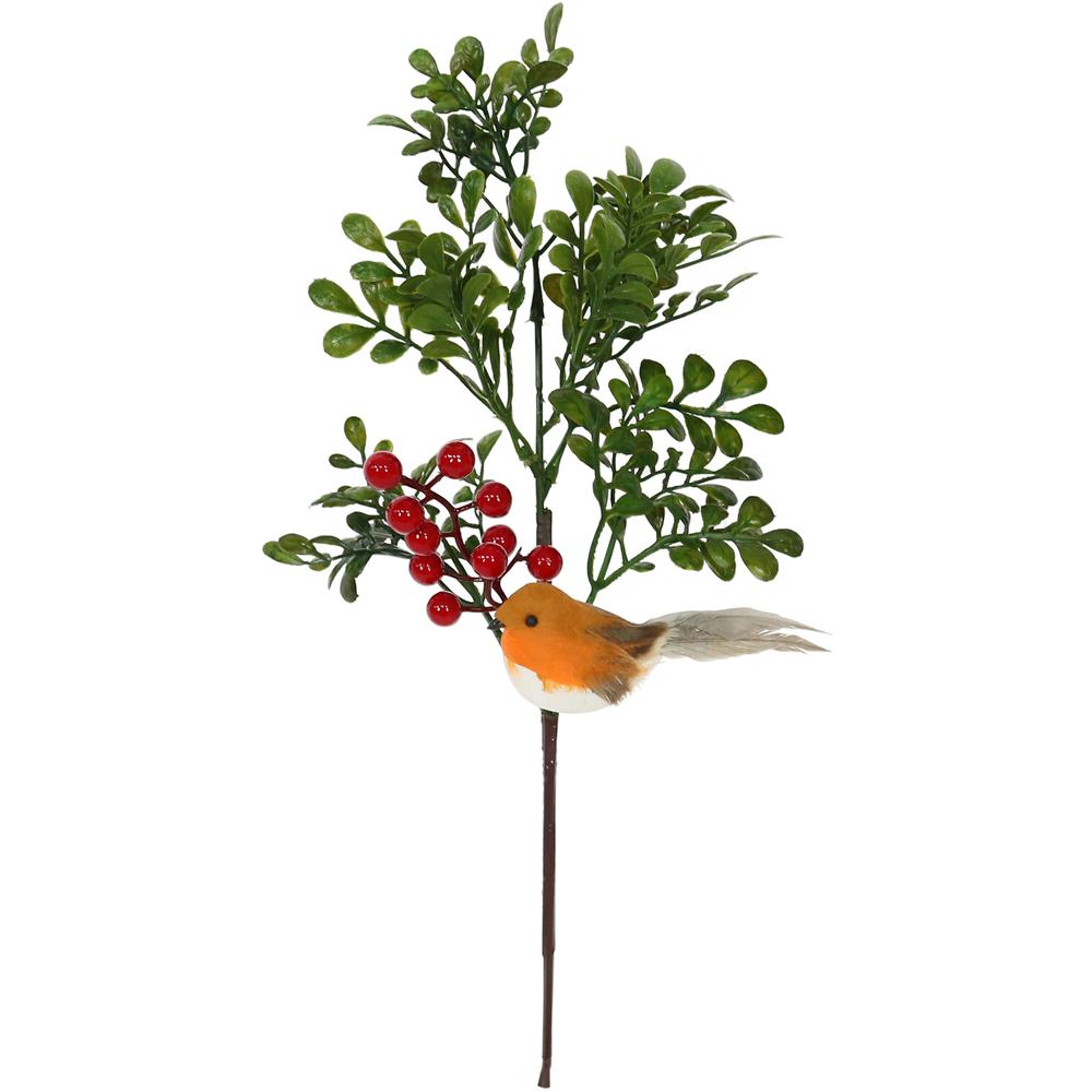 Robin Pick with Berries Image 1