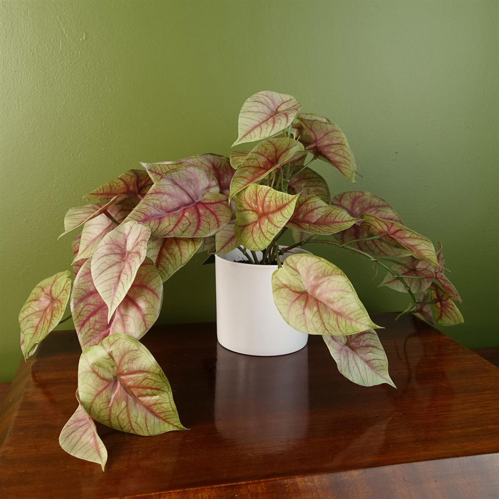 Leaf Trailing Pink Caladium Artificial Plant in Pot 30cm Image 2