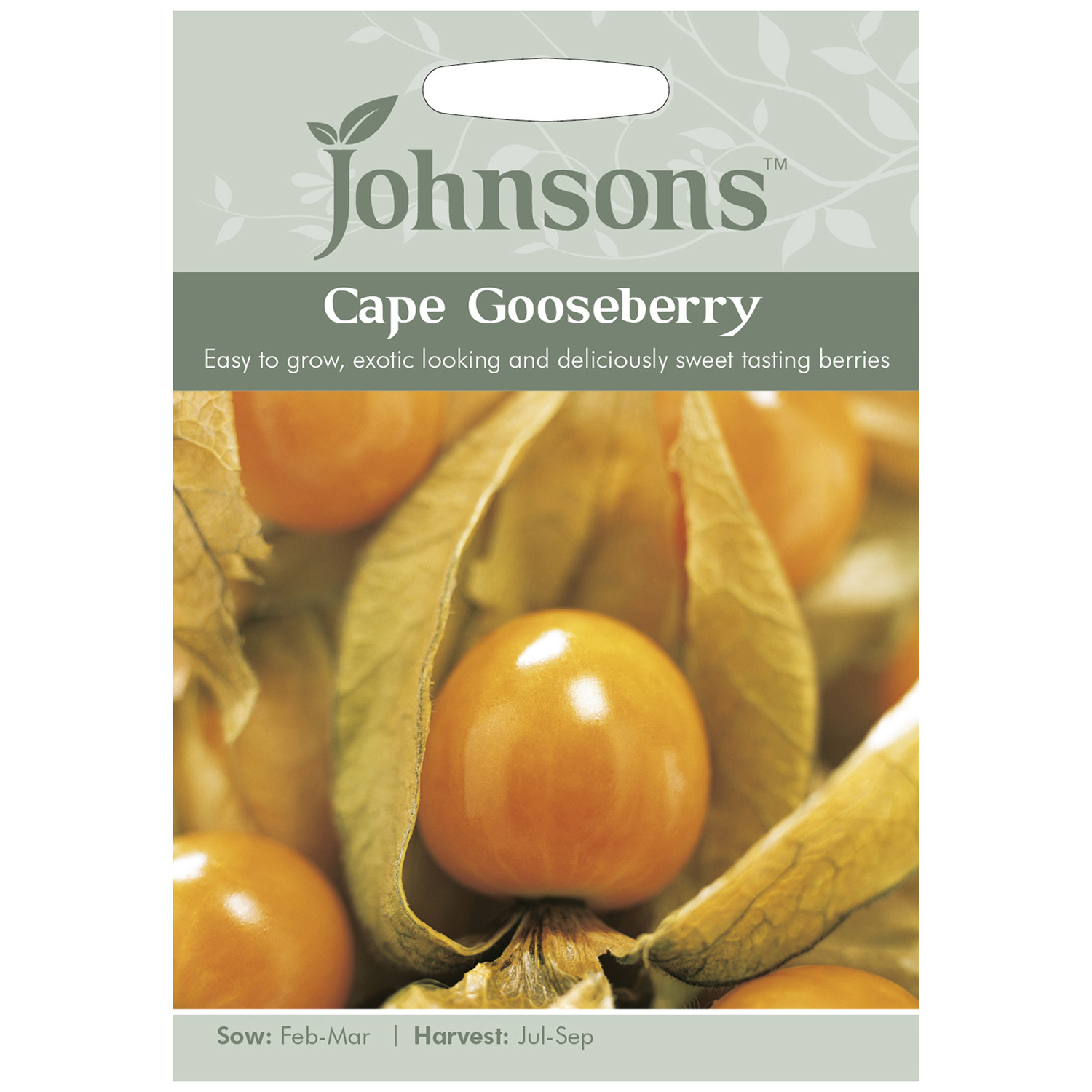 Johnsons Cape Gooseberry Physalis Peruviana Image