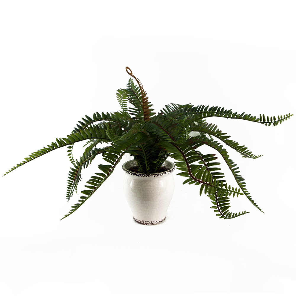 Leaf Bushy Fern Artificial Plant in Planter 40cm Image 1
