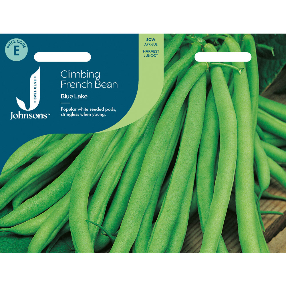 Climb French Bean Blue Seeds Image 1