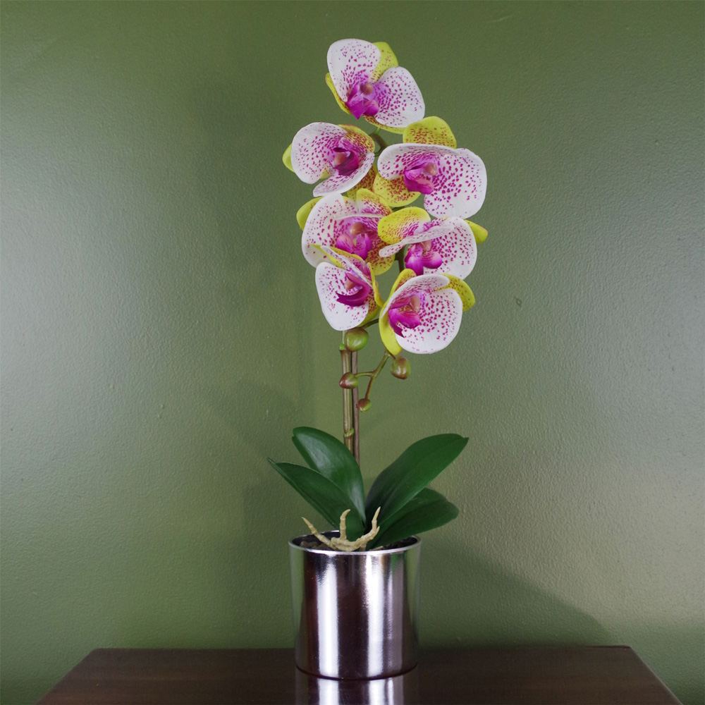 Botanik Pink Harlequin Orchid Artificial Plant in Silver Pot 46cm Image 2