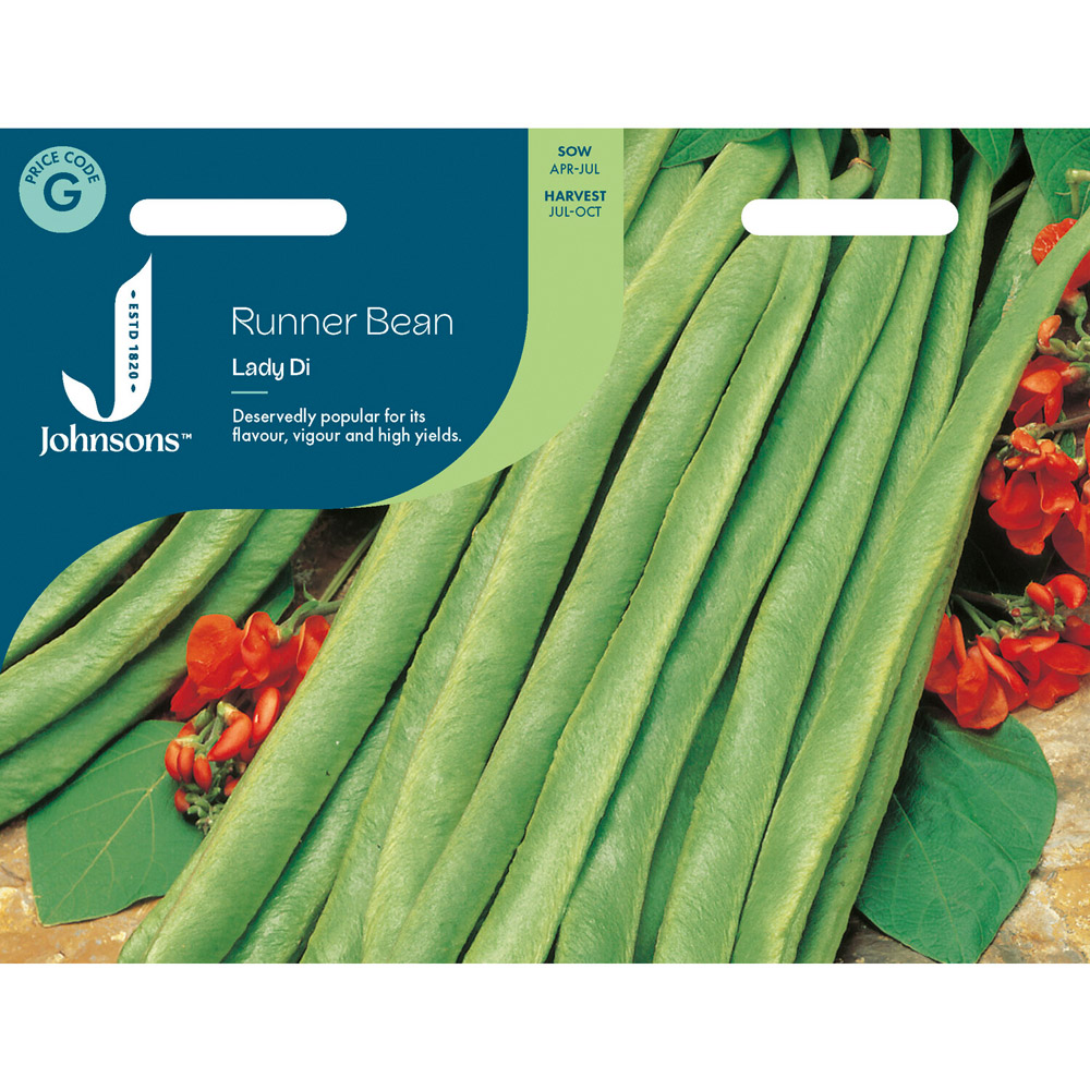 Runner Bean Lady Di Seeds Image 2