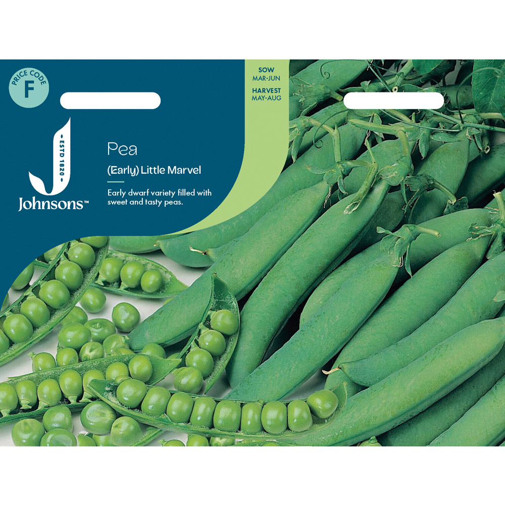 Pea Early Little Marvel Seeds Image 1