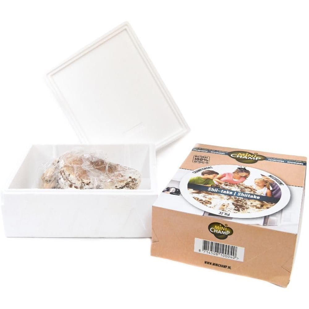 Thompson and Morgan Gift Grey Oyster Mushroom Prepack Windowsill Kit 3L Image 3