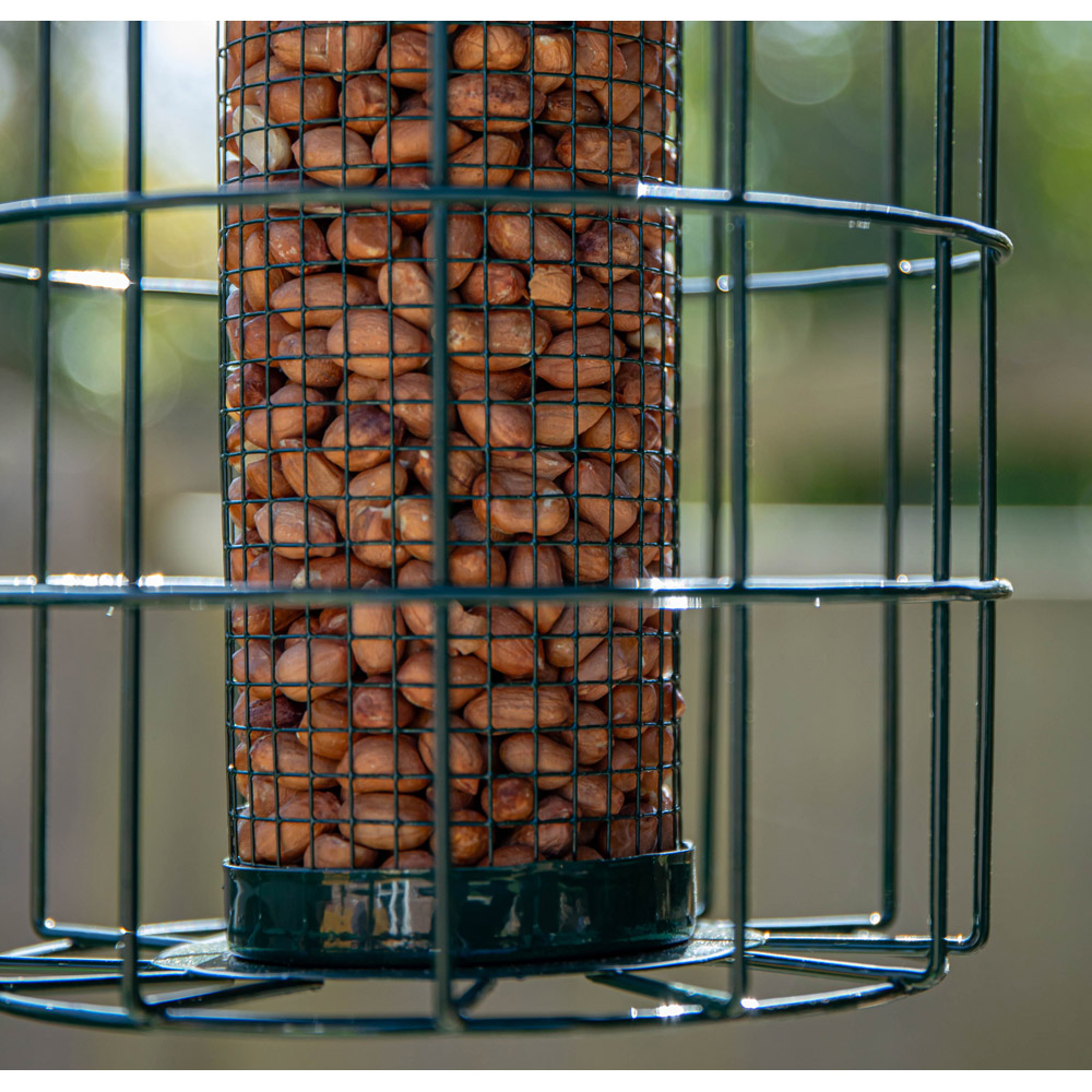Samuel Alexander Squirrel Proof Metal Hanging Bird Nut Feeder 2 Pack with 1kg Nut Feed Image 7