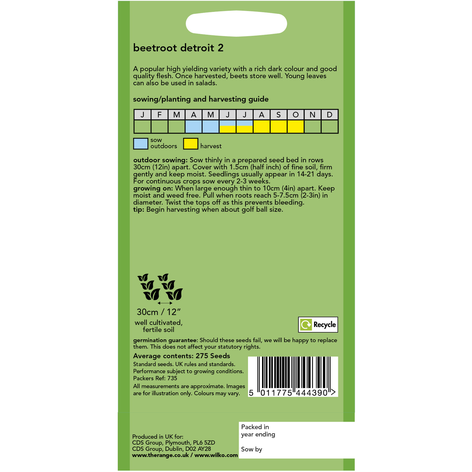 Wilko Beetroot Detroit Seeds Image 2