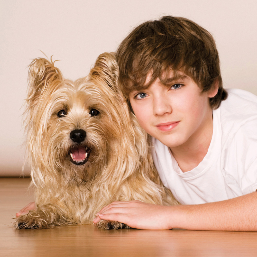 Activity Superstore Pet Portrait Gift Experience Image 4