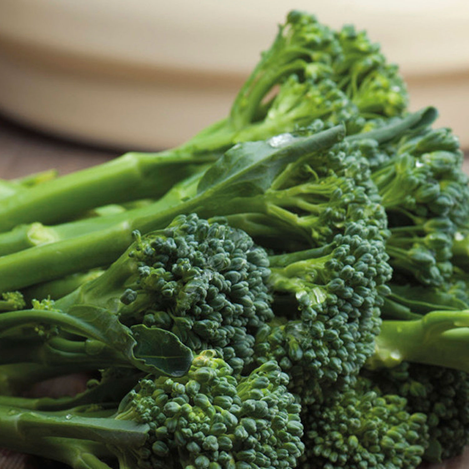 Johnsons Organic Green Sprouting Broccoli Seeds Image 1