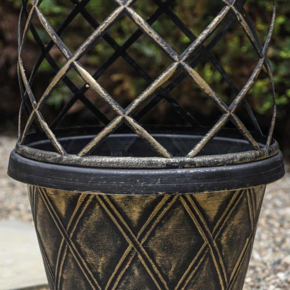 Thompson and Morgan Clematis Montana Mayleen Plant Pot 7cm 2 Pack with Tower Pot Kit Image 6