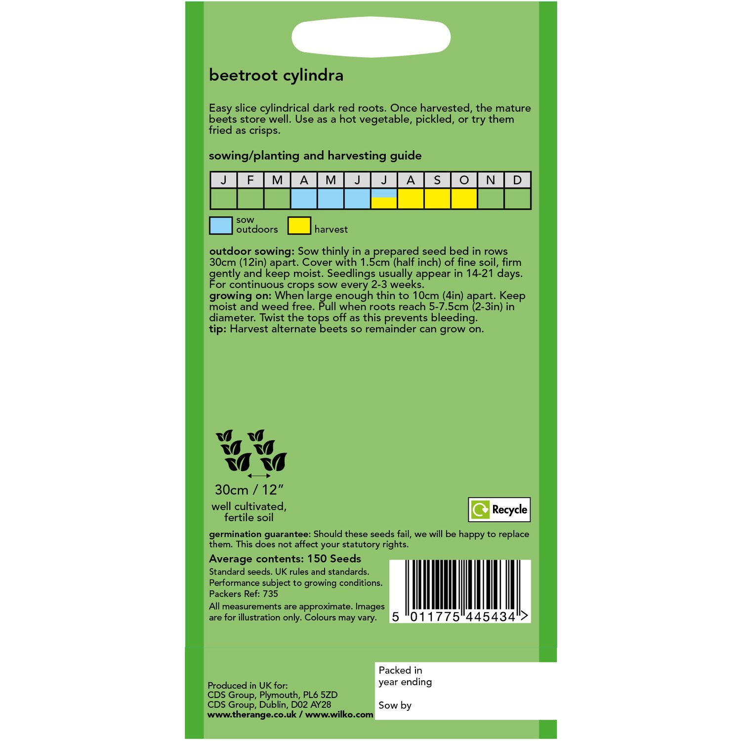 Wilko Beetroot Cylindra Seeds Image 2