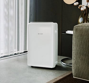 all you need to know about dehumidifiers