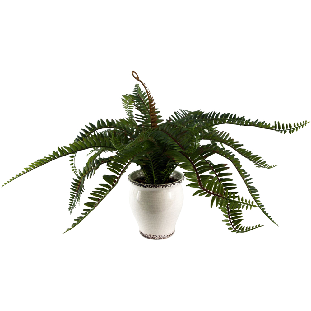 Leaf Fern Bush Artificial Plant in Pot 40cm Image 1