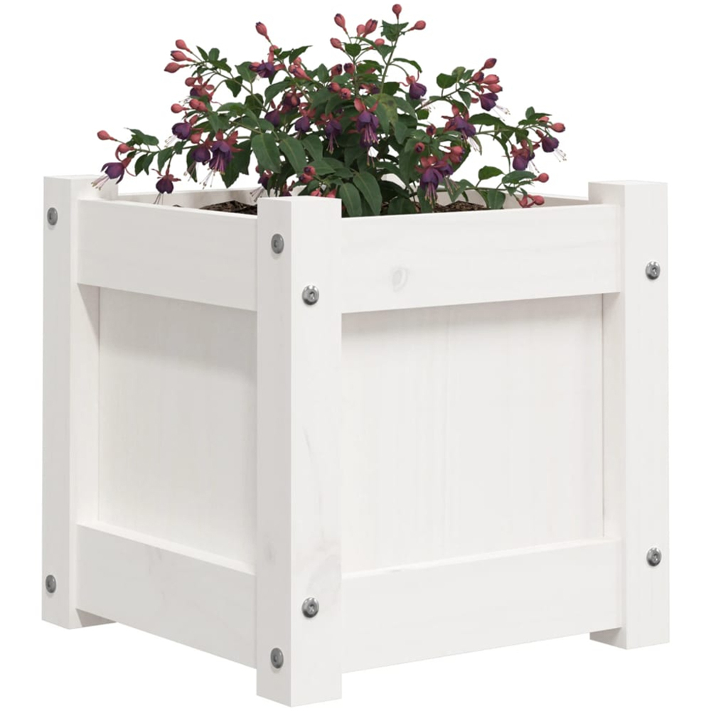 vidaXL White Pine Wood Raised Garden Bed 31 x 31 x 31cm Image 3