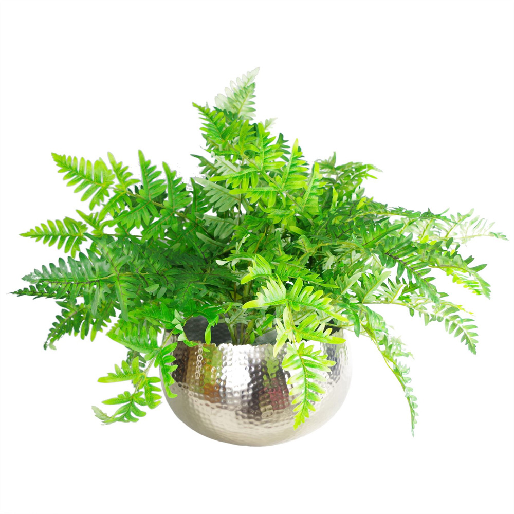 Botanik Silver Metal Curved Edge Hammered Planter 20 x 32cm Image 2